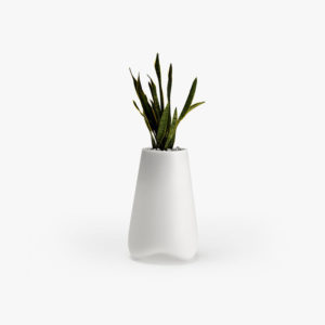Suspendisse urn dolor