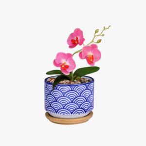 Lorem ipsum sit